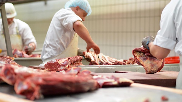 Venta de carne de caballo ilegal